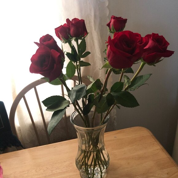 Meet your Posher, Ronia - Picture 1 of 1